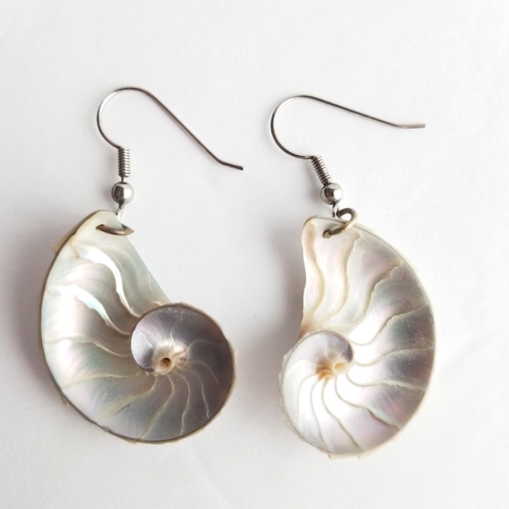 Nautilus Seashell Earrings - Picture 4 of 7